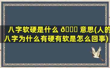 八字软硬是什么 🍀 意思(人的八字为什么有硬有软是怎么回事)